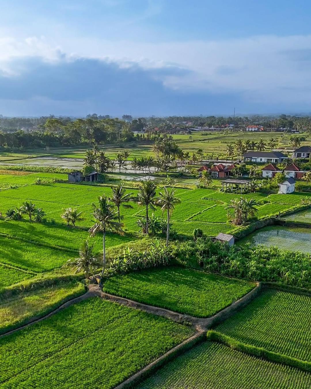 Ikada Villa By Pramana Villas Ubud Extérieur photo